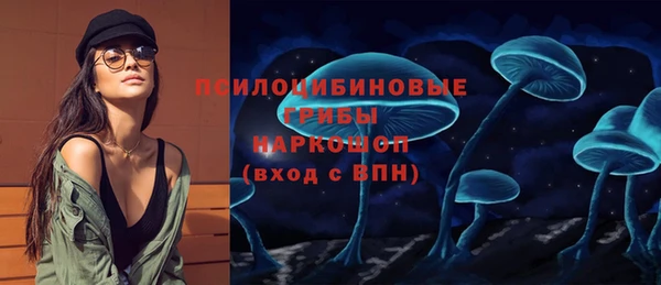 мдпв Богородск