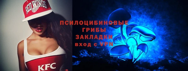 COCAINE Богородицк