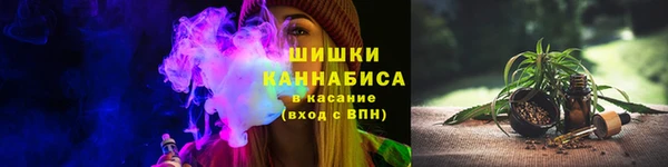 первитин Богданович