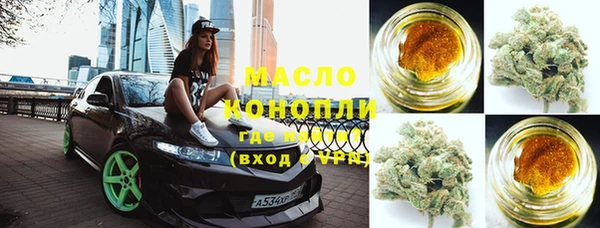 мдпв Богородск