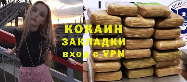 мдпв Богородск