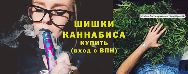 первитин Богданович