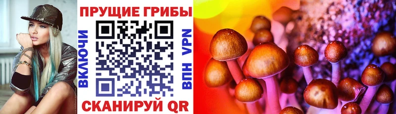 Псилоцибиновые грибы ЛСД Одинцово